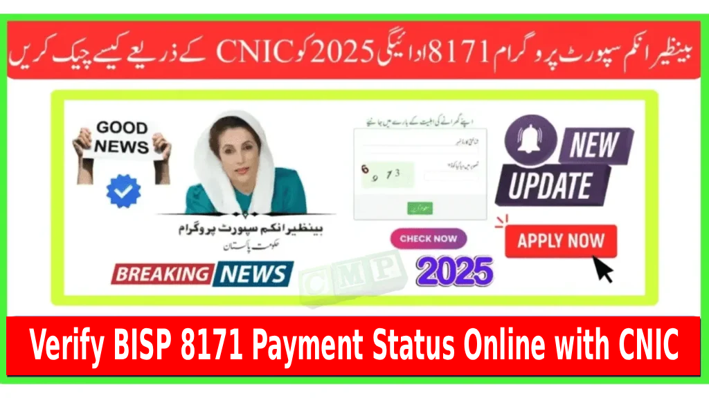 How to Safely Verify BISP 8171 Payment Status Online with CNIC in 2025